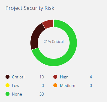 Project Security Risk